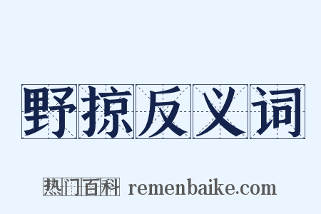 野掠反义词是什么意思的图片